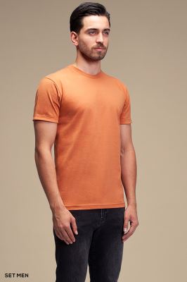 تیشرت مردانه یقه گرد آستین کوتاه